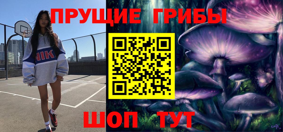 Галлюциногенные грибы прущие грибы  Галлюциногенные грибы Psilocybine cubensis  Вход с VPN  Унеча 